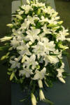 white lilies coffin spray funeral flowers